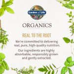 Garden Of Life Organics Fair Trade Organic Maca Root Energy Boost† 225g Powder - Image 6